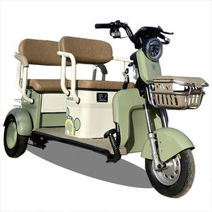 Elegant Steel <b>Hub</b> Trishaw for Women Ebike Bike 3 Wheel - Product Image 1