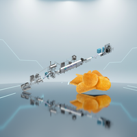 Machine à fabriquer des chips de pommes de terre entièrement automatique Haitel 300 kg/h avec options multi-tension et chauffage, haute productivité, nouvelle