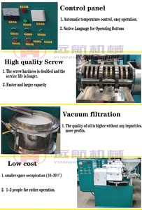 Cocina automática Tornillo frío Palma Fruta Girasol Planta Prensas de aceite Prensa fría Máquina para hacer aceite Precio - Product Image 6
