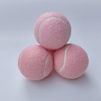 Ballon de sport personnalisé avec logo imprimé, durable, pour l'entraînement, la plage, le lancer, la pratique, en caoutchouc, pour chien