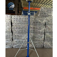 Andamios Metálicos Profesionales Q235/Q345 Tipo Ringlock Layher para Construcción, Soporte de Acero Estándar Europeo