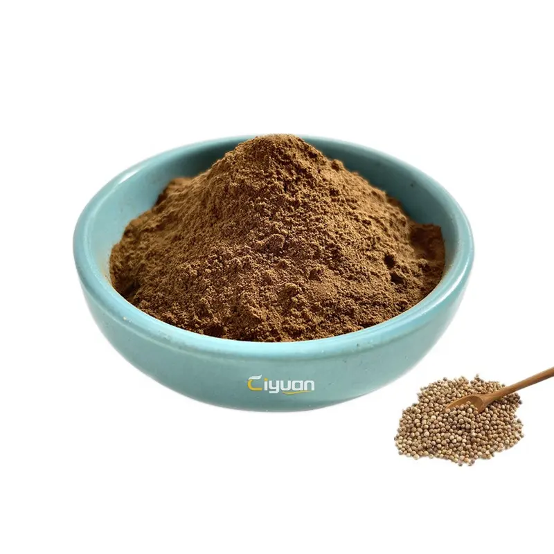 Top Quality Coriander Seeds Extract Powder Cilantro (caraway) Extract 4:1 10:1 15:1
