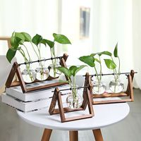 Plante à air terrarium plantes hydroponiques jardinière en verre de bureau vase en verre à bulbe avec station de propagation en bois