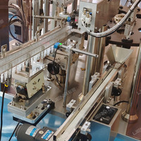 Machine de formage et de remplissage d'ampoules en plastique Offre Spéciale automatique Ligne de production de remplisseur d'ampoules