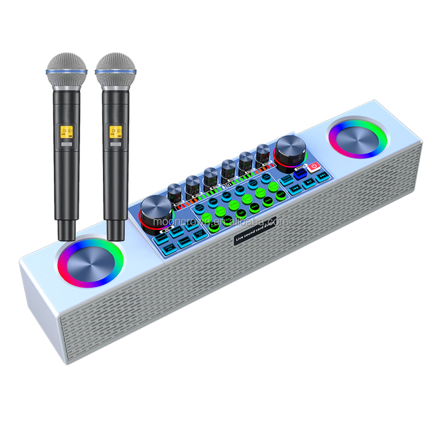 Rechargeable Subwoofer Speaker Home KTV Portable Party Karaoke Speaker With Mic and bluetooth Sound Card Wireless Microphones