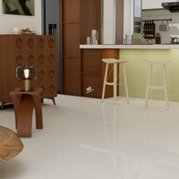 Carreaux de porcelaine modernes 60x60 gris clair poli effet marbre veiné brillant pour sol
