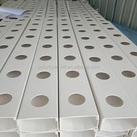 Système Hydroponique NFT Agricole Conteneur Canal PVC pour Culture