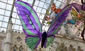 Hoge Kwaliteit Luxe Winkelcentrum Gigantische Kunstmatige Opknoping Grote <span class=keywords><strong>Led</strong></span> Vliegende Vlinder Decoratie Bruiloft Evenement Etalage - Product Image 2