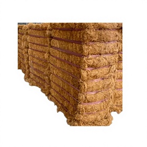ECO Blue Lotus Fibre de coco premium, matière première pour substrat agricole, origine Ben Tre, approvisionnement en gros - Product Image 1