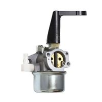 Carburateur de rechange en gros pour tondeuse à gazon B&S 696065 697422 BP17A-2 compatible avec les moteurs 110402 110412 215369