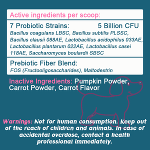 OEM/ODM ผลิตภัณฑ์ขายดี Buddy Biotics, โปรไบโอติก+พรีไบโอติกแบบผง, 7 สายพันธุ์โปรไบโอติกพร้อมพรีไบโอติก FOS, ช่วยเสริมสร้างจุลินทรีย์ในลำไส้และภูมิคุ้มกัน - Product Image 2