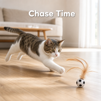 Balle de jeu interactive pour animaux de compagnie en caoutchouc plumeux, forme de ballon de football, de baseball ou de basketball, pour le jeu en intérieur