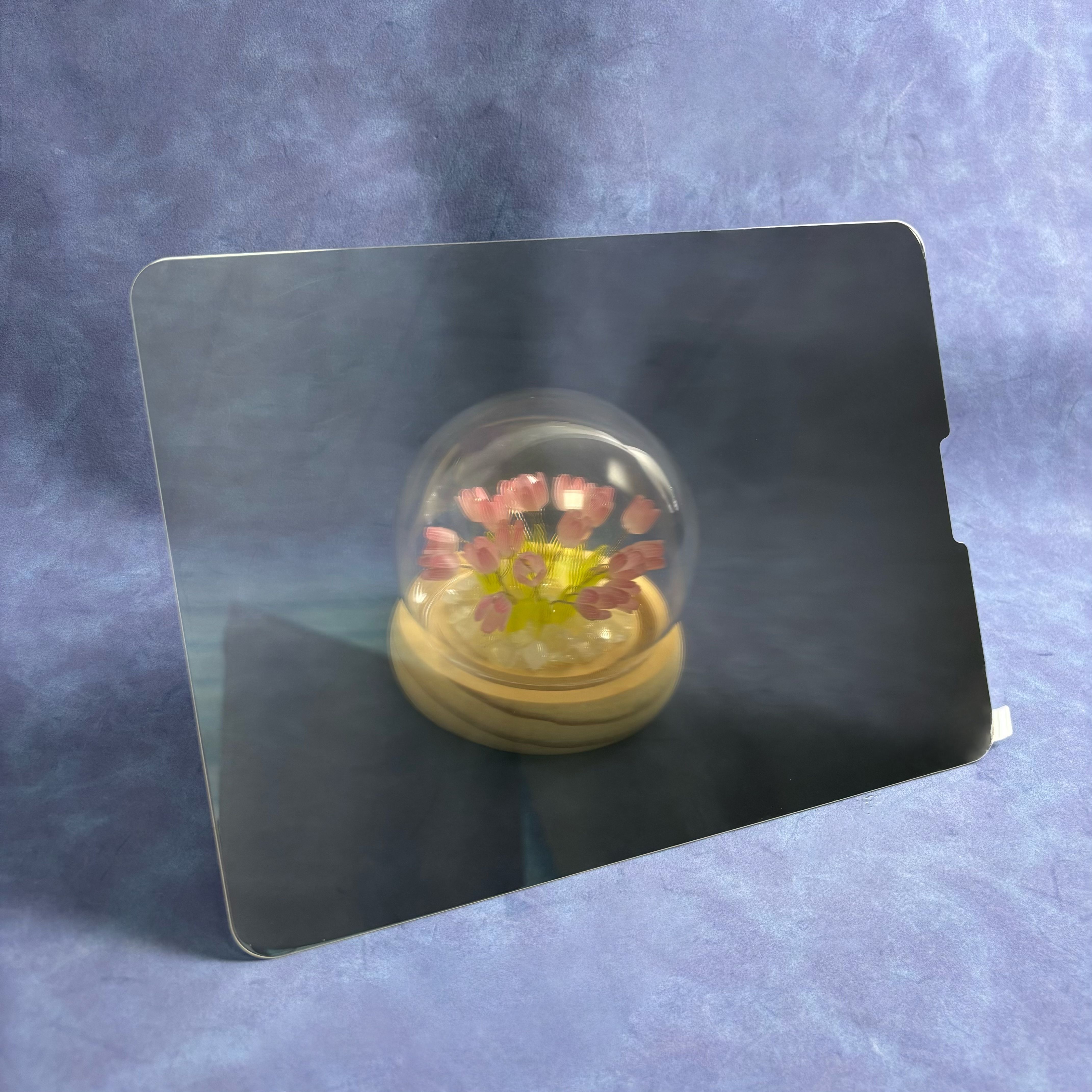 ฟิล์มความเป็นส่วนตัว