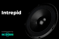 Audio profesional de alta potencia Subwoofer PASIVO de 18 "BT Oke Sets Sistema de altavoces PA con doble altavoz de línea de matriz de 8" Bocina