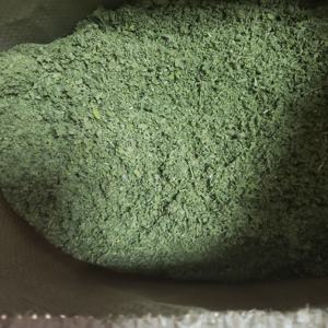 棉花糖叶 - Product Image 2