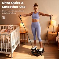 Appareil de fitness portable RS Indoor Step Rocker pour entraînement aérobie, équipement de fitness Rock Stepper, machine d'exercice à domicile