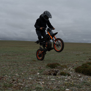 Ridingtimes USA Kho Gt54 Điện Xe Đạp Bụi Bẩn 48V 2000W Ánh Sáng Off Road Ebike Xe Đạp Điện - Product Image 6