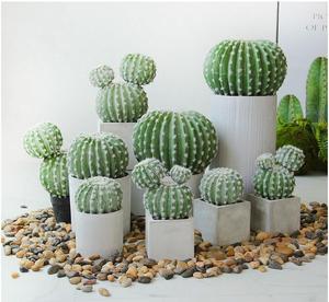 Plante Artificielle <span class=keywords><strong>D</strong></span>écorative en Plastique, Étiquette Personnalisée, Petits Clôtures, Treillis, Portails, <span class=keywords><strong>Cactus</strong></span> Artificiels - Product Image 3