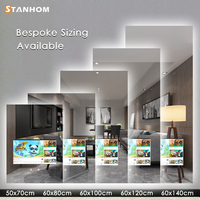STANHOM UKCA CE RoHS Miroir de salle de bain intelligent avec écran tactile LED TV Android avec caméra WiFi