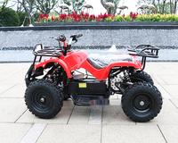 Quad 4x4 chinois 1000cc pour enfants, roues A4, Raptor, démarrage électrique, carrosserie en acier, 36V, scooter pour enfants de 3 à 12 ans