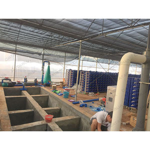 Système d'aquaculture RAS professionnel pour l'élevage de crabes et de homards australiens, matériaux PP/SS304/SS316, capacité de 10 à 200 m/h, CATAQUA - Product Image 4