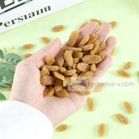 Raisin artificiel en plastique, imperméable et durable, accessoire de présentation pour la photographie culinaire, la décoration de la maison et de la cuisine, et les fournitures pédagogiques scolaires