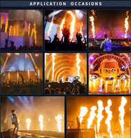 Effet d'éclairage de scène 3 têtes Fire Flame Machine Stage DMX 512 Spray Professional DJ concert Equipment