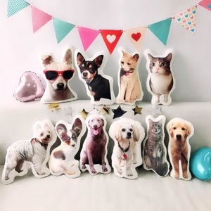 Oreillers personnalisés confortables pour animaux de compagnie pour dormir Double face doux 3D corps <span class=keywords><strong>visage</strong></span> coussins divers dessins animés animaux plantes - Product Image 4