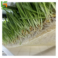 Conteneur de ferme conteneur d'expédition agricole 20 '/40' pieds pour Microgreen/laitue/herbage