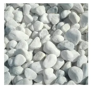 Natural dolomite stone tumble white pebbles for garden decorations