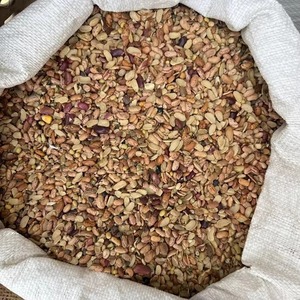 Frijoles Rajma Rechazados para Alimentación Animal y como Fuente de Proteína Disponible a un Precio Razonable - Product Image 2