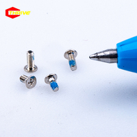 Mini Kleine Uhrwerk-Mikroschrauben M0.6 0.8 M1 M1.2 M1.4 Mikro-Selbstschneidende Gewindesicherung Mikro-Elektronikschraube