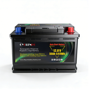 Fabrieksdirect 12.8V 100Ah LiFePO4 Autostartbatterij met 400CCA 600A piekstroom, 2 jaar garantie, 6000 cycli - Product Image 3