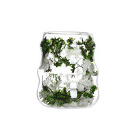 Nouvelles Tasses en Verre à Double Paroi 280ml, Vente en Gros, Mugs à Café Créatifs en Verre, Tasses à Eau Réutilisables, Mug en Verre pour Thé et Fleurs Séchées