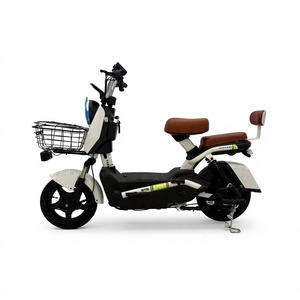Moteur pour hommes et femmes, mini tricycle 16 pouces 60V 800W, 2 roues avant, pneus larges, moteur central 750W 36V 18V, vélo électrique - Product Image 1
