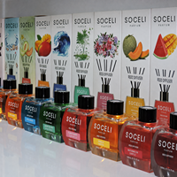 Diffuseur d'arômes liquides en plastique moderne en gros, design créatif de carte parfumée, bouteille personnalisée pour voiture