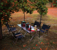Mesa Plegable de Aluminio para Camping con Acabado en Madera de Nogal, Capacidad de Carga de 30 kg, Mesa Portátil para Picnic al Aire Libre con Bolsa de Transporte Oxford 600D