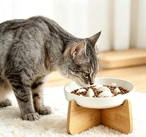 Custom Logo Ceramic Pet Food Bowl Elevated Stand Luxury Slow <b>Feeder</b> <b>Cat</b> Bowl for Indoor <b>Cats</b> - Product Image 1