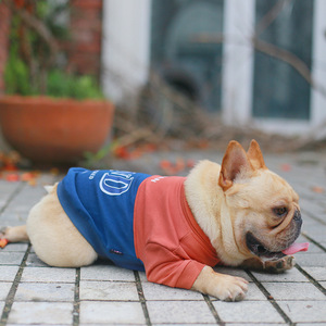 Jersey de cuello redondo, trajes cálidos para cachorros y mascotas, suéter, sudaderas de toro francés, ropa a juego para perros y propietarios - Product Image 4