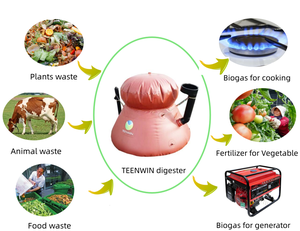 Planta de Biodigestión Doméstica Familiar Mini Portátil para Alimentos <span class=keywords><strong>Humanos</strong></span>, <span class=keywords><strong>Residuos</strong></span> de Cocina y Animales - Product Image 4