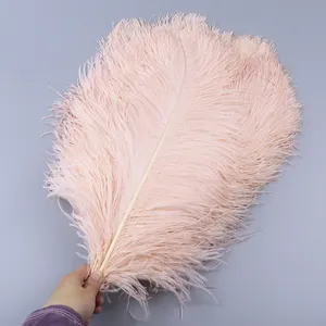 Factory Sale Champagne Large Angel Wings Plumes Fans 45-50cm Dyed Ostrich Feather For Carnival Wedding Home Party Decoration