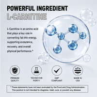 Complément Liquide OEM de L-Carnitine, Acétyl L-Carnitine Tartrate, Formes Pré-Entraînement, Énergie et Soutien Musculaire, Saveur Gommeuse Aigre Goût Ver