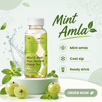 Boisson RTD Thé Oolong Quatre Saisons Menthe & Amla Nihewan 240ml Fabrication OEM ODM sous Contrat Boisson Oolong