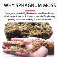 Mousse de sphagne compressée biologique en vrac, directement de l'usine, écologique, haute capacité d'absorption d'eau, pour le sol des plantes carnivores, nutritif