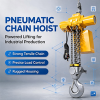 Palans pneumatiques à air comprimé haute efficacité, équipement de levage robuste, palan à chaîne pneumatique, limiteur de surcharge, ligne d'assemblage en usine