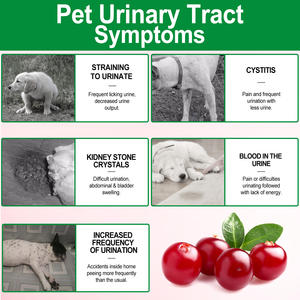 Commercio all'ingrosso personalizzato animali domestici assistenza sanitaria controllo della vescica trattare integratori 30 morbido mirtillo masticabile masticare per cani supporto renale - Product Image 5