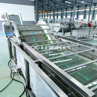 500Kg Fruitgroente Reiniging Productielijn Wassen En Drogen Van Fruit Aardappel Tomaat Wasmachine
