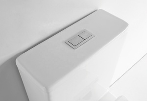 New Product Nozzle Self-cleaning Two Piece Set in Foshan Sanitary Ware <strong>Henan</strong> Ceramic <strong>Toilet</strong> - Product Image 5