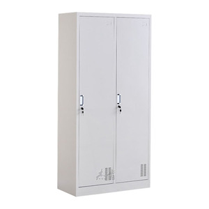 Armario de Acero de Diseño Moderno con 2 Puertas, Armario de Almacenamiento Vertical de Acero con Cerradura, Armario Doble de Metal Resistente Independiente - Product Image 1