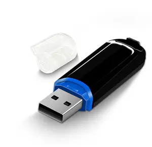 플라스틱 4gb 8gb 16gb 32gb 64gb 128gb 도매 사용자 정의 플래시 드라이브 USB 키 USB 2.0/3.0 메모리 스틱 펜 드라이브 Pendrive